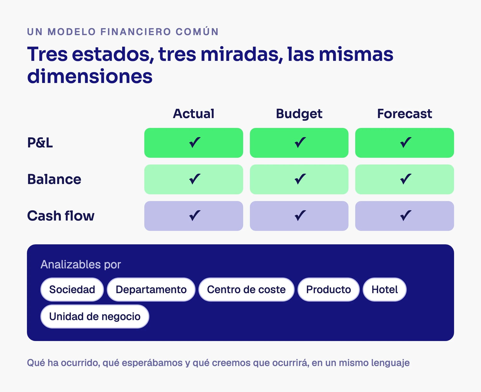 Matriz que cruza P&L, balance y cash flow con actual, budget y forecast, analizables por sociedad, departamento, centro de coste, producto, hotel y unidad de negocio.